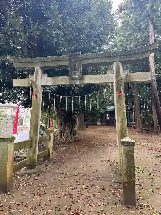 大蛇摩賀多神社(千葉県)