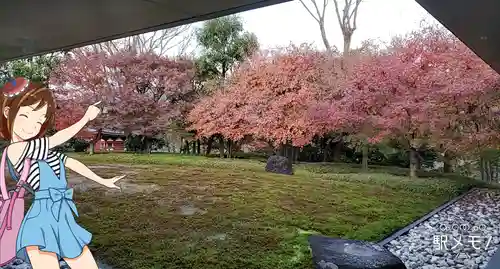 平等院の庭園