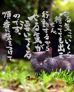 専念寺(大阪府)(2022年09月09日(金) 19時20分13秒投稿)