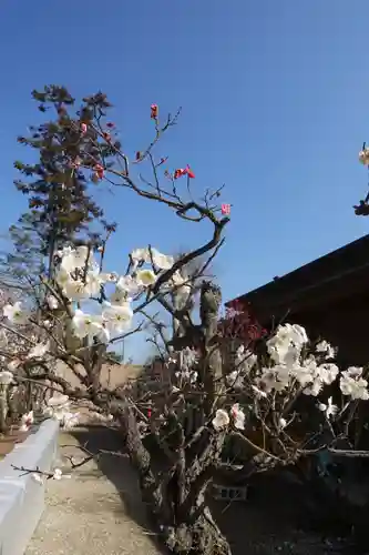 菅原天満宮（菅原神社）(奈良県)