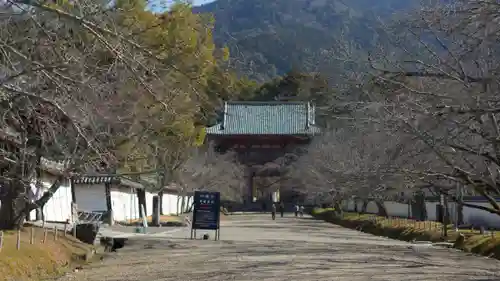醍醐寺(京都府)