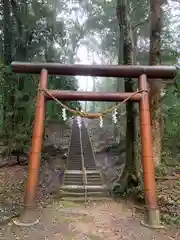 綱神社の鳥居