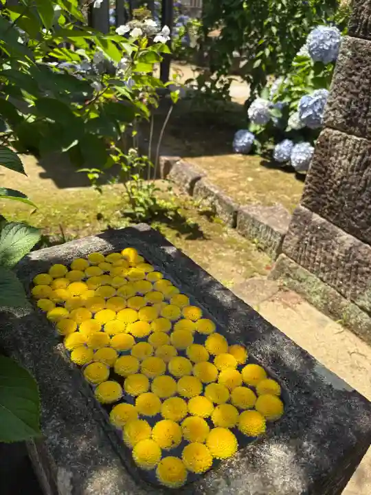 本光寺(愛知県)