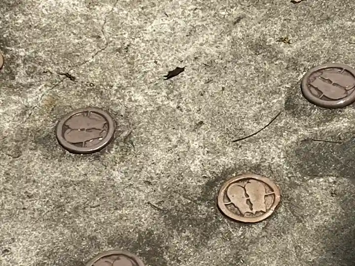 こま・チヨ神社(兵庫県)