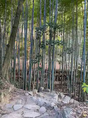 曹源寺(岡山県)