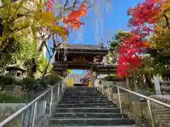 法輪寺の山門