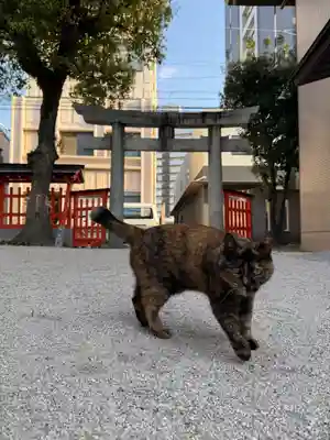 十日恵比須神社(福岡県)