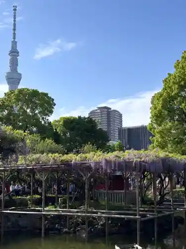 亀戸天神社(東京都)