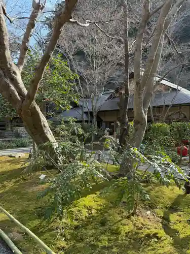 明月院(神奈川県)