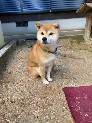 萬福寺(山口県)