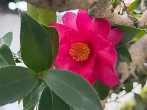 西方山極楽寺(岐阜県)