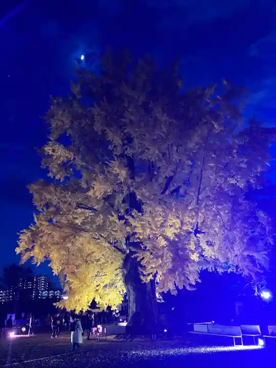 時宗総本山 遊行寺(正式:清浄光寺)(神奈川県)