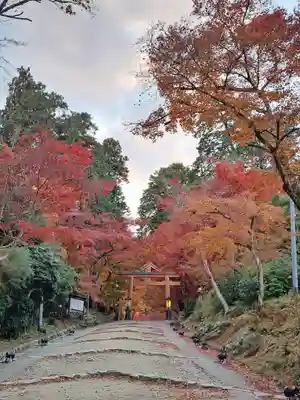 日吉大社(滋賀県)