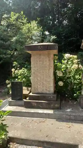 辛科神社(群馬県)