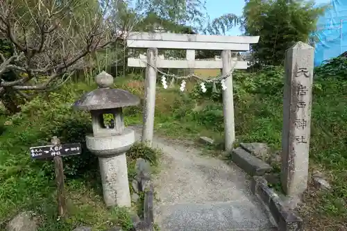 天岩戸神社の鳥居