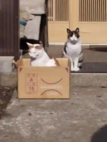 小坂神社の動物