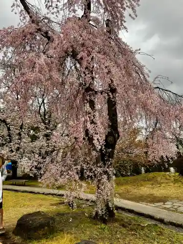 富士山本宮浅間大社の{uncategorized: "未分類", other: "その他", undefined: "問題あり", building: "その他建物", grave: "お墓", sacred_gate: "鳥居", guardian: "狛犬", statue: "像", buddha: "仏像", history: "歴史", nature: "自然", garden: "庭園", animal: "動物", pagoda: "塔", temizu: "手水舎", mountain_gate: "山門・神門", sanctuary: "本殿・本堂", subordinate: "末社・摂社", art: "芸術", scenery: "景色", jizo: "地蔵", ema: "絵馬", goshuin: "御朱印", omikuji: "おみくじ", items: "授与品その他", amulet: "お守り", goshuincho: "御朱印帳", eats: "食事", festival: "お祭り", votive_dance: "神楽", shichigosan: "七五三参", wedding: "結婚式", experience: "体験その他", initially: "初詣", around: "周辺", anti_infection: "感染症対策"}