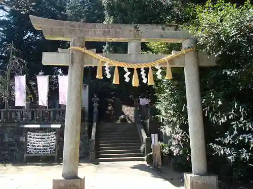 前玉神社の鳥居