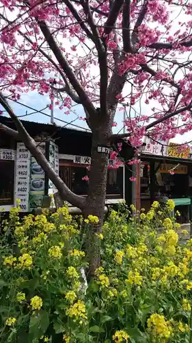 かっぱの寺 栖足寺の自然