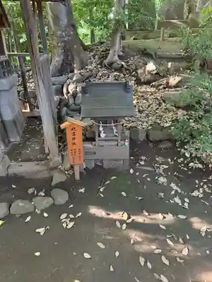 川越氷川神社(埼玉県)