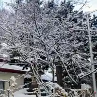 彌彦神社 (伊夜日子神社)(北海道)