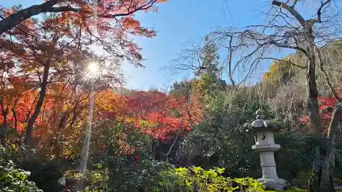 天龍寺(京都府)