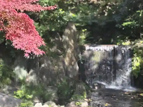 善國寺(東京都)