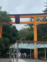 川越氷川神社(埼玉県)
