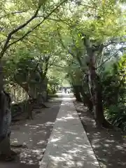 極楽寺（霊鷲山感應院極楽律寺）の景色