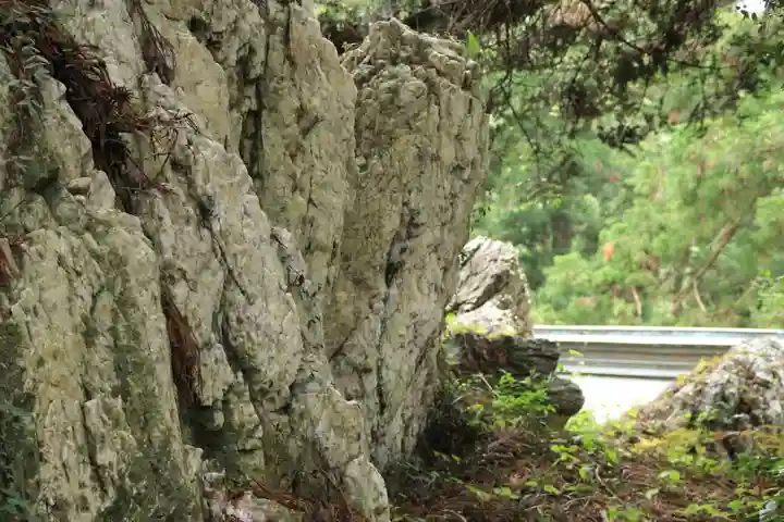 鹿島大神宮の自然