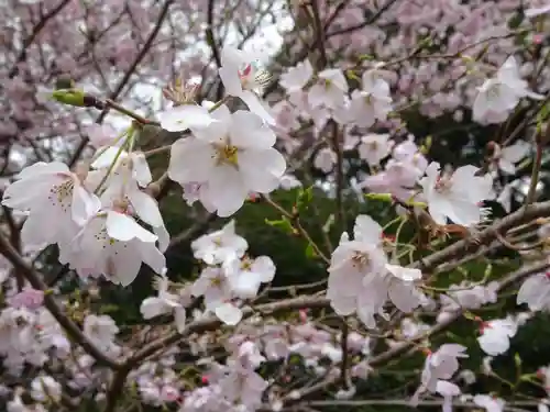 阿邪訶根神社の自然