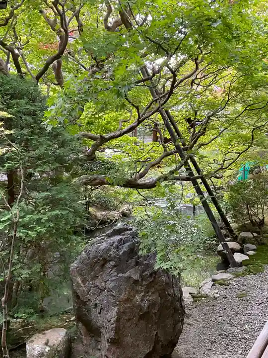 禅林寺(永観堂)(京都府)