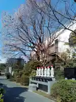 阿弥陀寺(宮城県)