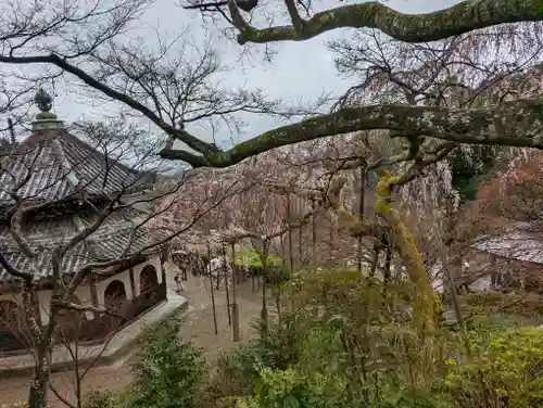 善峯寺(京都府)