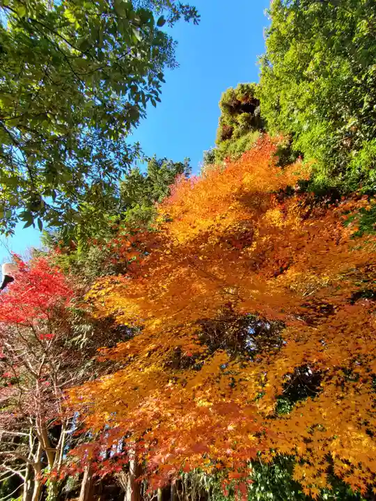 滑川神社 - 仕事と子どもの守り神(福島県)