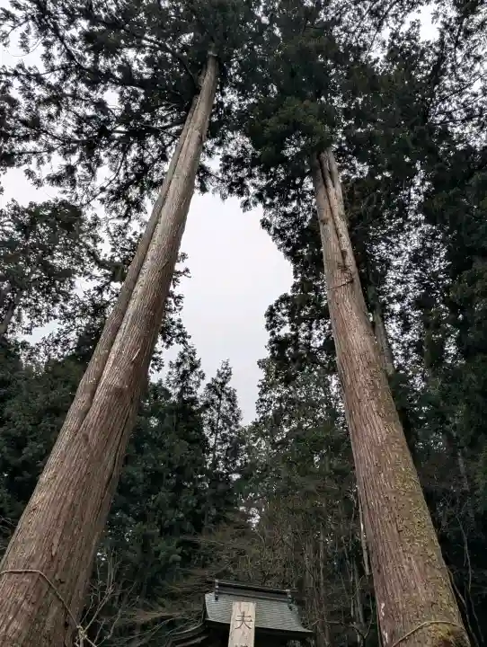 粟鹿神社の{uncategorized: "未分類", other: "その他", undefined: "問題あり", building: "その他建物", grave: "お墓", sacred_gate: "鳥居", guardian: "狛犬", statue: "像", buddha: "仏像", history: "歴史", nature: "自然", garden: "庭園", animal: "動物", pagoda: "塔", temizu: "手水舎", mountain_gate: "山門・神門", sanctuary: "本殿・本堂", subordinate: "末社・摂社", art: "芸術", scenery: "景色", jizo: "地蔵", ema: "絵馬", goshuin: "御朱印", omikuji: "おみくじ", items: "授与品その他", amulet: "お守り", goshuincho: "御朱印帳", eats: "食事", festival: "お祭り", votive_dance: "神楽", shichigosan: "七五三参", wedding: "結婚式", experience: "体験その他", initially: "初詣", around: "周辺", anti_infection: "感染症対策"}
