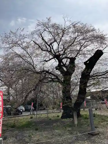 歓喜寺(茨城県)