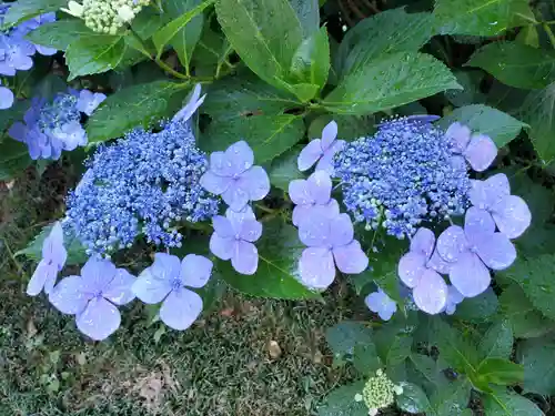 赤城神社(群馬県)