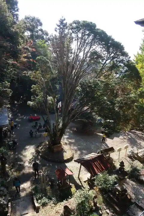 日龍峯寺(高澤観音)(美濃清水)(岐阜県)