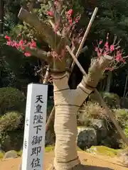 劒神社の庭園