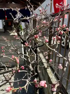 善國寺(東京都)