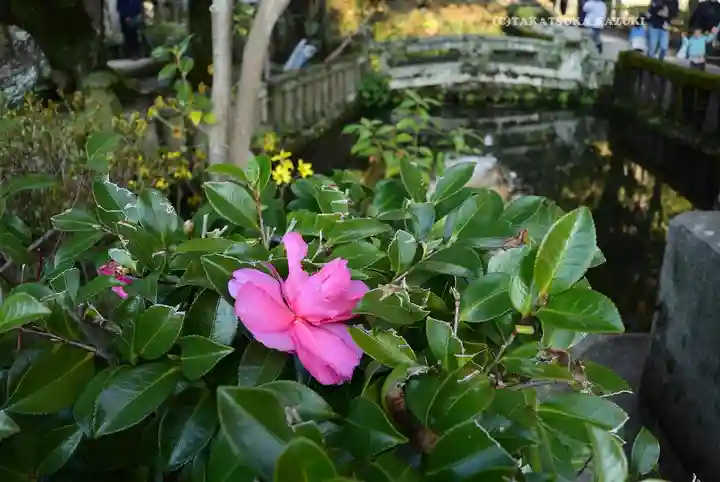 三嶋大社(静岡県)