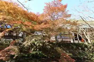 大寧寺(山口県)