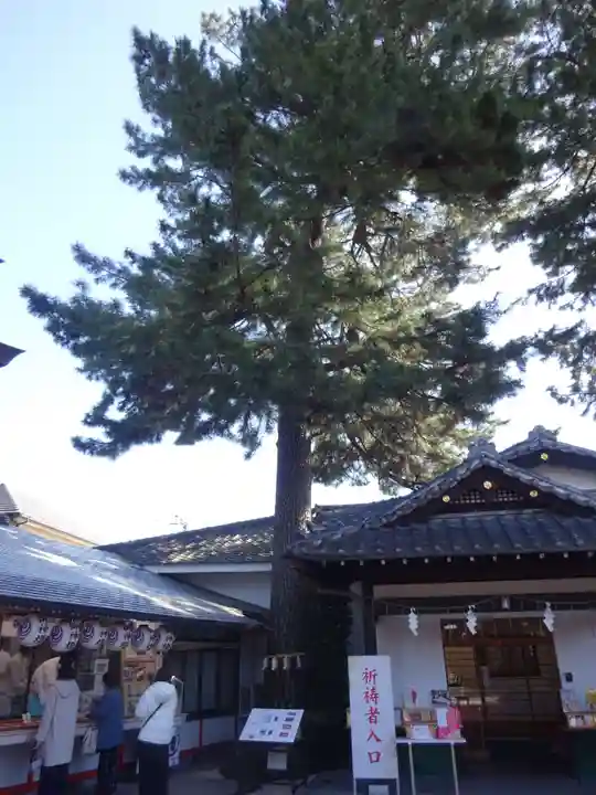 中野沼袋氷川神社の自然