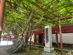 笠間稲荷神社(茨城県)