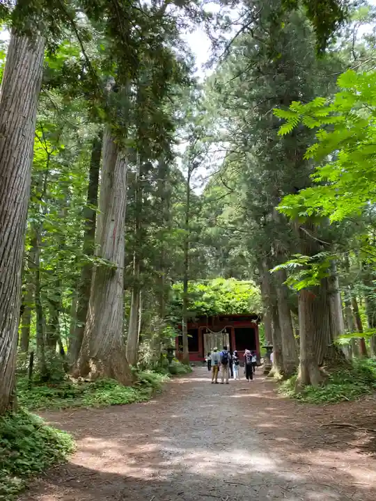 戸隠神社奥社(長野県)