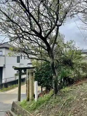 菅原神社の{uncategorized: "未分類", other: "その他", undefined: "問題あり", building: "その他建物", grave: "お墓", sacred_gate: "鳥居", guardian: "狛犬", statue: "像", buddha: "仏像", history: "歴史", nature: "自然", garden: "庭園", animal: "動物", pagoda: "塔", temizu: "手水舎", mountain_gate: "山門・神門", sanctuary: "本殿・本堂", subordinate: "末社・摂社", art: "芸術", scenery: "景色", jizo: "地蔵", ema: "絵馬", goshuin: "御朱印", omikuji: "おみくじ", items: "授与品その他", amulet: "お守り", goshuincho: "御朱印帳", eats: "食事", festival: "お祭り", votive_dance: "神楽", shichigosan: "七五三参", wedding: "結婚式", experience: "体験その他", initially: "初詣", around: "周辺", anti_infection: "感染症対策"}