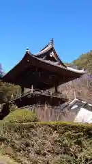 安楽寺の建物その他