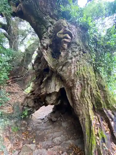 大山祇神社奥の院 生樹の御門(愛媛県)