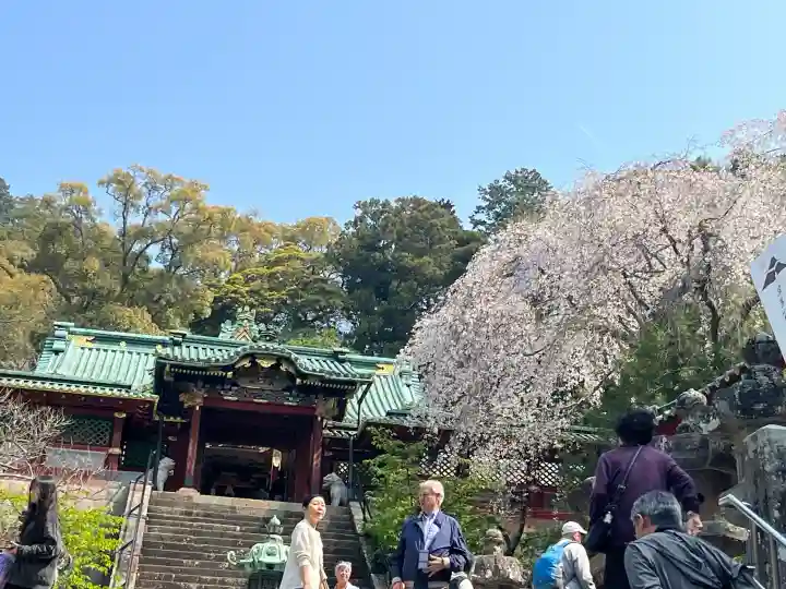 久能山東照宮の{uncategorized: "未分類", other: "その他", undefined: "問題あり", building: "その他建物", grave: "お墓", sacred_gate: "鳥居", guardian: "狛犬", statue: "像", buddha: "仏像", history: "歴史", nature: "自然", garden: "庭園", animal: "動物", pagoda: "塔", temizu: "手水舎", mountain_gate: "山門・神門", sanctuary: "本殿・本堂", subordinate: "末社・摂社", art: "芸術", scenery: "景色", jizo: "地蔵", ema: "絵馬", goshuin: "御朱印", omikuji: "おみくじ", items: "授与品その他", amulet: "お守り", goshuincho: "御朱印帳", eats: "食事", festival: "お祭り", votive_dance: "神楽", shichigosan: "七五三参", wedding: "結婚式", experience: "体験その他", initially: "初詣", around: "周辺", anti_infection: "感染症対策"}